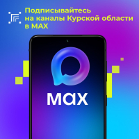 В Курской области растет количество пользователей официальных домовых чатов