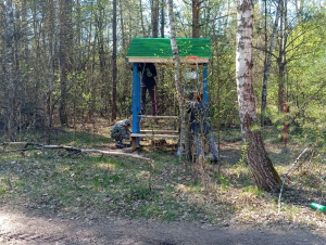 В Курской области действуют противопожарные меры в лесах