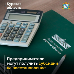 Курские пострадавшие предприниматели и юридические лица могут получить субсидии на восстановление