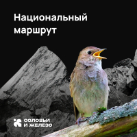 480 км по Курской области для туристов и другие итоги реализации нацпроектов в регионе