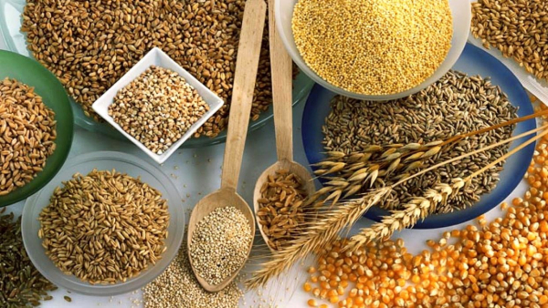 В Курской области в январе исследовали более 362 тыс. тонн зерновой продукции на наличие ГМО