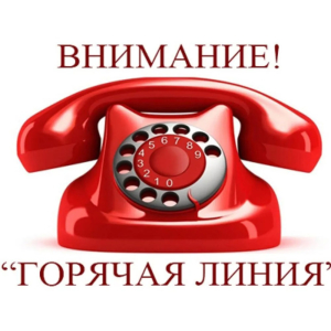 Горячая линия
