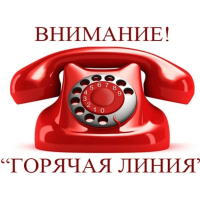 Горячая линия