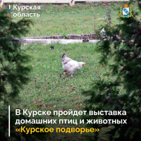 «Курское подворье»
