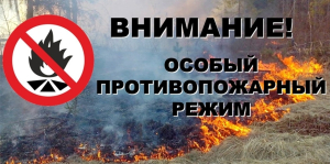 Противопожарный режим!