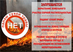 Пал сухой травы запрещен!